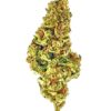 Close-up of dried cannabis flower with vibrant green and orange hues, showcasing its dense, textured buds.