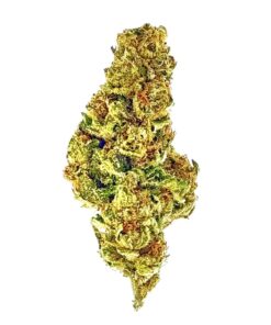 Close-up of dried cannabis flower with vibrant green and orange hues, showcasing its dense, textured buds.