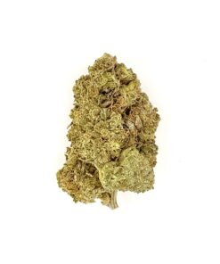 Close-up of a cannabis bud showcasing its vibrant green hues and intricate trichome details on a white background.