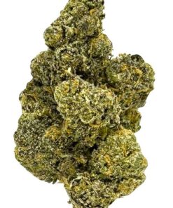 Close-up of a vibrant cannabis flower with dense buds, showcasing rich green colors and a frosty trichome layer.