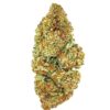 Close-up of a dense cannabis bud showcasing vibrant green and orange hues with a frosty trichome coating.