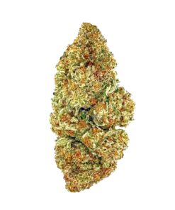 Close-up of a dense cannabis bud showcasing vibrant green and orange hues with a frosty trichome coating.