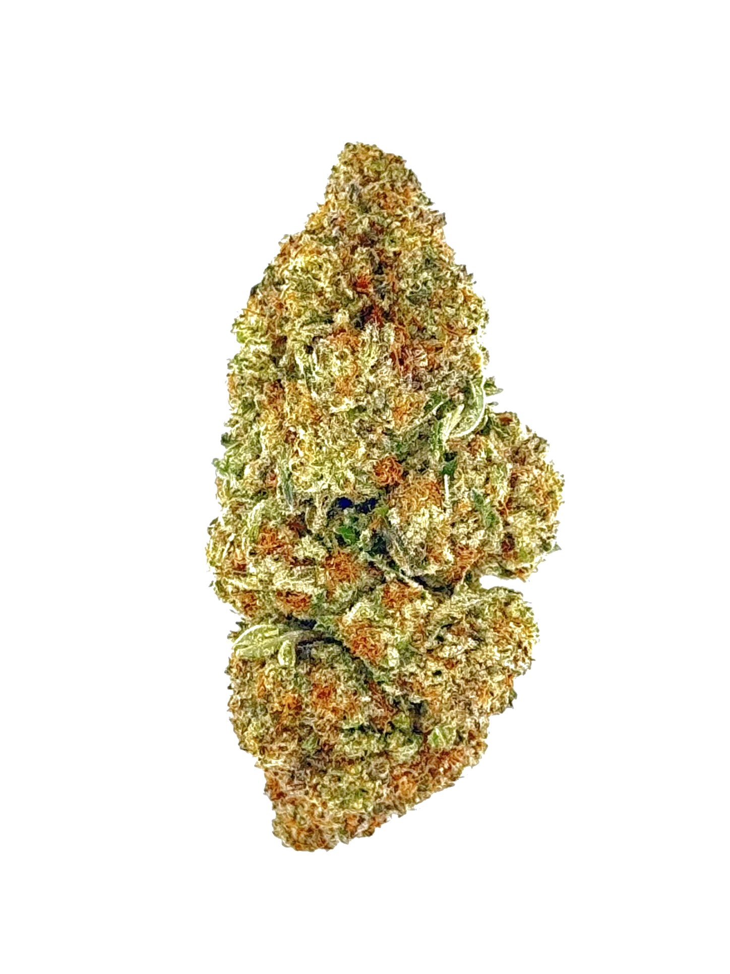 Cookie Pie (Ounce) 1 Close-up of a dense cannabis bud showcasing vibrant green and orange hues with a frosty trichome coating.