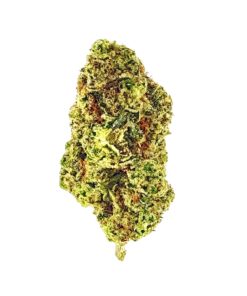 A close-up of vibrant green cannabis flower showcasing intricate details and textures. Ideal for educational and medicinal purposes.