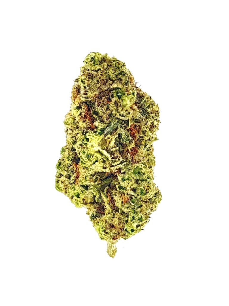 A close-up of vibrant green cannabis flower showcasing intricate details and textures. Ideal for educational and medicinal purposes.