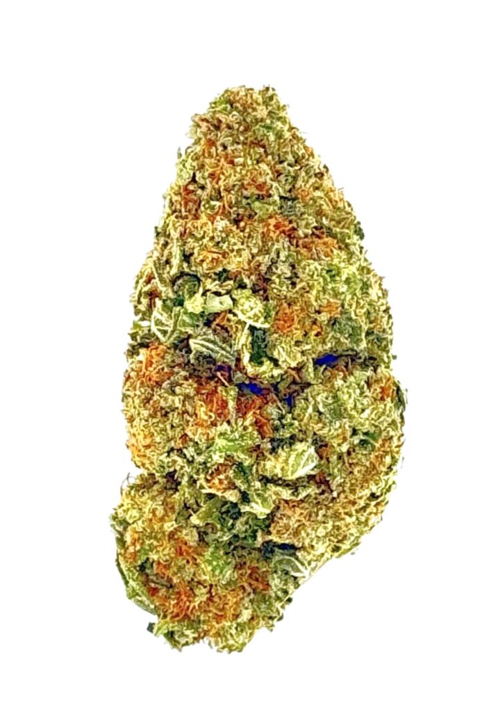 Close-up of a vibrant cannabis bud showcasing green and orange hues, highlighting its rich texture and density.