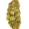 Close-up of high-quality cannabis bud showcasing vibrant green and orange hues, ideal for connoisseurs and enthusiasts.