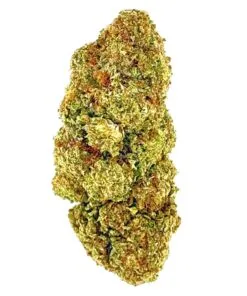 Close-up of high-quality cannabis bud showcasing vibrant green and orange hues, ideal for connoisseurs and enthusiasts.