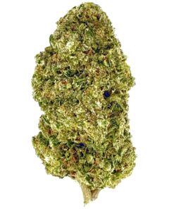 Close-up of cannabis bud, showcasing its vibrant green color and textured surface. Ideal for cannabis enthusiasts.