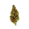 Close-up of a cannabis bud showing vibrant green and orange hues on a white background. Ideal for showcasing quality strains.