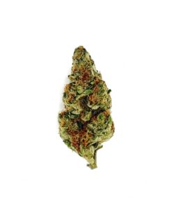Close-up of a cannabis bud showing vibrant green and orange hues on a white background. Ideal for showcasing quality strains.