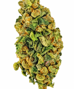 Close-up of vibrant cannabis bud highlighting its dense trichomes and rich green and orange hues. Ideal for cannabis enthusiasts.