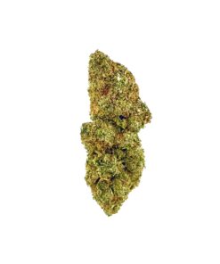Close-up of a vibrant cannabis bud showcasing its lush green hues and intricate texture on a white background.