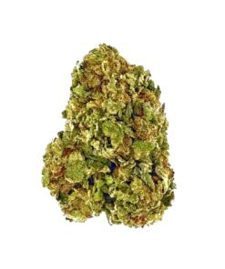 Close-up of fresh, green cannabis bud showcasing its texture and color against a white background.