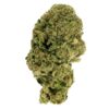 Close-up of a dense, green cannabis bud, showcasing its trichomes and vibrant texture against a white background.