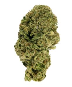 Close-up of a dense, green cannabis bud, showcasing its trichomes and vibrant texture against a white background.